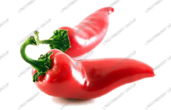 Capsaicin / Latin Name: Capsicum annuum