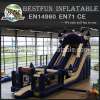 Exciting Big Inflatable Castle Slide