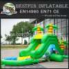 Functional inflatable jungle slide