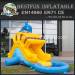 Small Slide Inflatable Dolphin