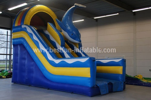 Attractive inflatable dolphin slide with pool