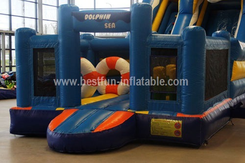 Attractive inflatable dolphin slide with pool