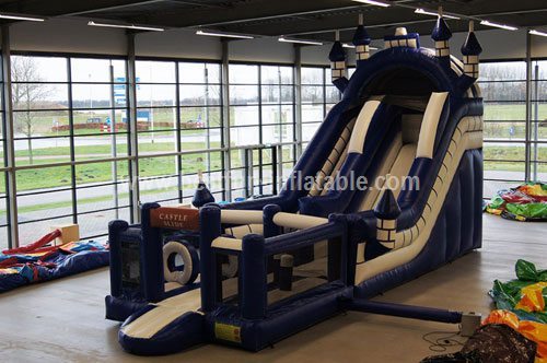 Exciting Big Inflatable Castle Slide