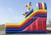 Clown Inflatable Dry Wet Slide