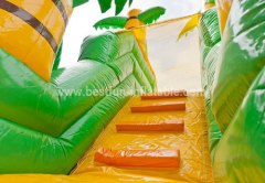 Functional inflatable jungle slide