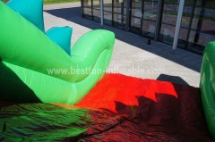 Inflatable crocodile slide combo