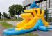 Small Slide Inflatable Dolphin