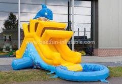 Lovely animaled inflatable dolphin sliding from china