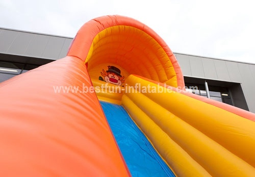 Outdoor Inflatable Slide for Grassland Beach