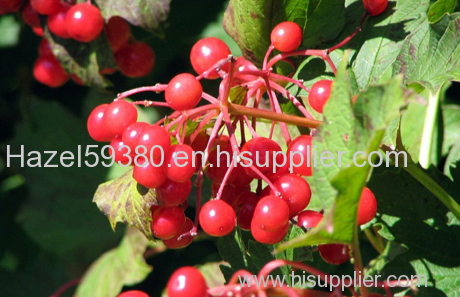 Cranberry anthocyanin / plant extract