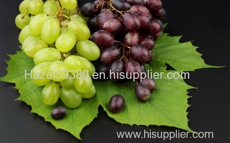 Grape skin anthocyanin- plant extract