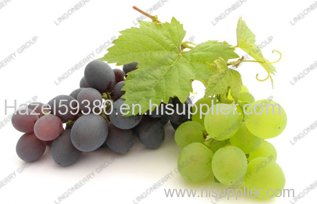 Grape juice powder- fruit powder