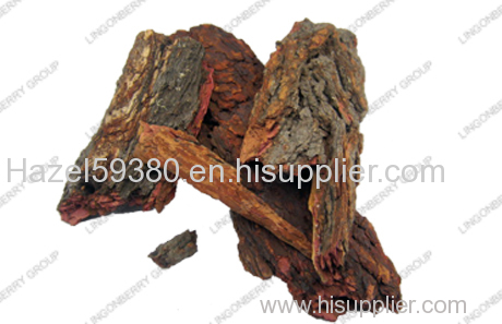 Pine Bark Extract -plant extract