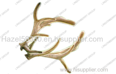 Pilose Deer Horn Extract