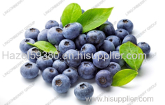 blueberry pterostilbene- plant extract