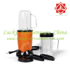 Multi Function Mini Food Processor / Food Blender