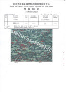 Metallographic test for F51 duplex steel by third party
