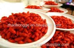 Factory natural extract barbary wolfberry fruit p.e. Barbary Wolfberry P.E.Barbary Wolfberry P.E.