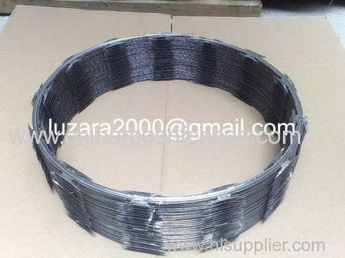 CBT65 Single Coil Razor Barbed Wire