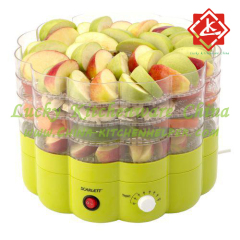 Electric food dehydrator for home use