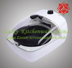 Electric oil free air fryer