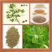 Common Fenugreek Seed Extract Common Fenugreek Seed Extract Common Fenugreek Seed Extract Common Fenugreek Seed Extra