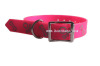 2014 Innovative TPU Quick Release Dog Collar with Different Colors