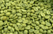 Green Coffee Bean Extract Green Coffee Bean Extract Green Coffee Bean Extract Green Coffee Bean Extract