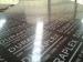 waterproof marine plywood Film Face Plywood