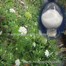 Osthole Extract Osthole Extract Osthole Extract Osthole Extract Osthole Extract Osthole Extract Osthole Extract