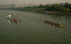 Rowing Boat / Eight