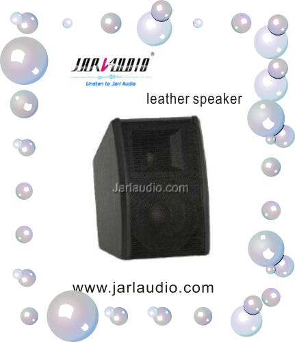 2-Way PA Leather Speaker