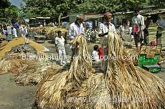 The raw jute Fiber & Jute Yarn