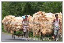 The raw jute Fiber & Jute Yarn