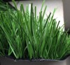 Sports Artificial Garden Grass Best Synthetic Grass thick Artificial Turf