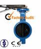 High Performance Sanitary Butterfly Valve Wafer and Lug Style for Water 12" 14"