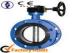 ANSI / AWWA Wafer pattern butterfly valve , Middle line Flange Butterfly Valve DN 50 DN 200
