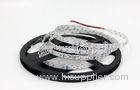5m Warm White / White Flexible LED Strip Light With CE & ROHS car led strip lights
