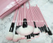 Pink make up brush set