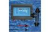 Self-cleaning Salt Water Swimming Pool Control System for Pool Disinfection