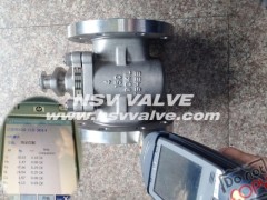 904L(UB6) Non-Lubricated Plug Valve