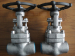 Super-Duplex(F53) Forged Gate Valve