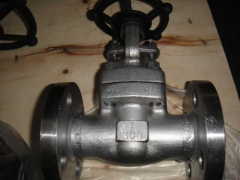 Super-Duplex(F53) Forged Gate Valve