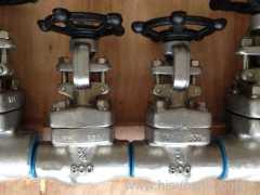 Duplex Steel(A182 F51) Forged Gate Valve