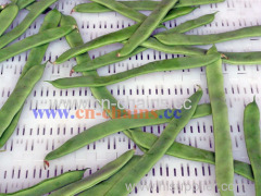 Perforated flat top 50 modular conveyor belt for vegetables washing