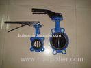 Europe type Class125 / ANSI B16.2 / Class250 Handle / Gear Cast Iron Butterfly Valve