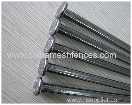 Bright Polished Common Iron Nails