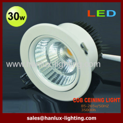 30W 2400lm Ceiling Light