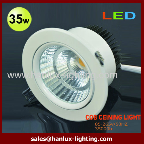 CE RoHS certificated Ceiling Light