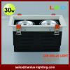 30W 2160 LED grille light